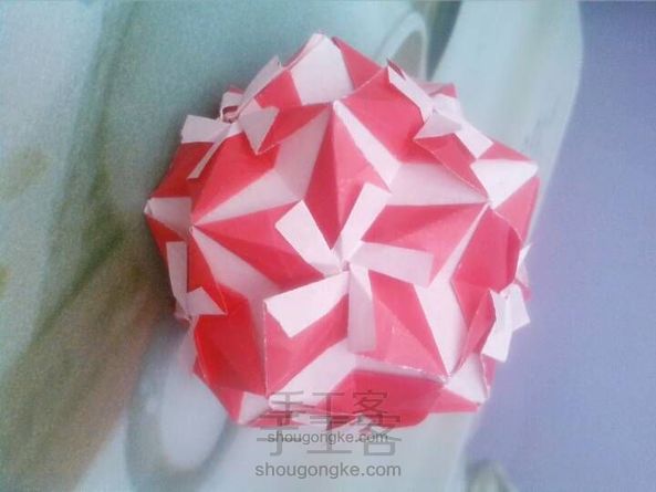 花球的名字忘了