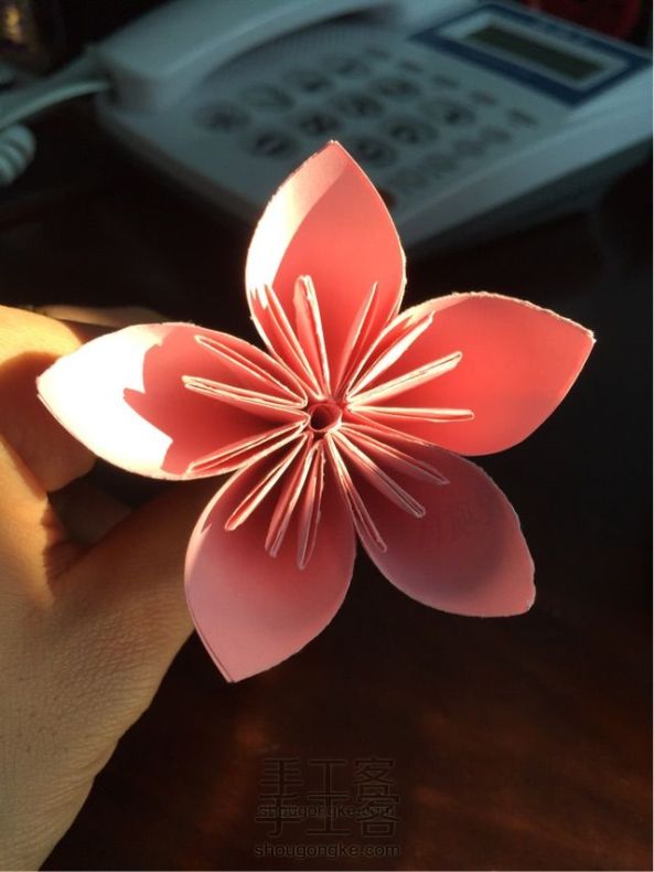 🌸樱花 折纸教程