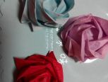 美哒哒的川崎玫瑰