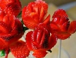 草莓玫瑰制作教程
