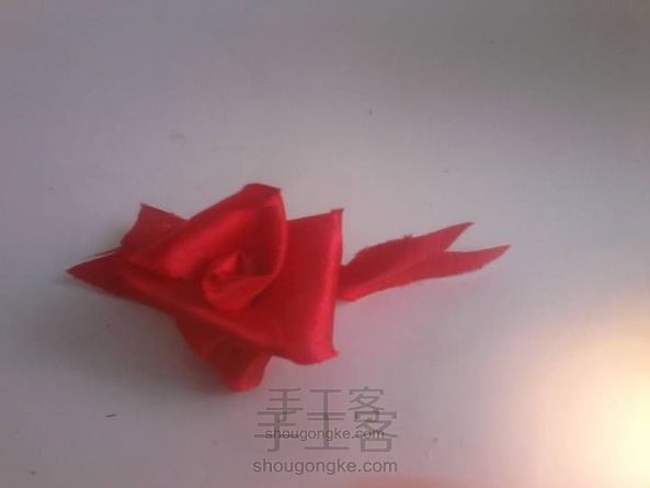 美丽的玫瑰🌹,你喜欢吗?