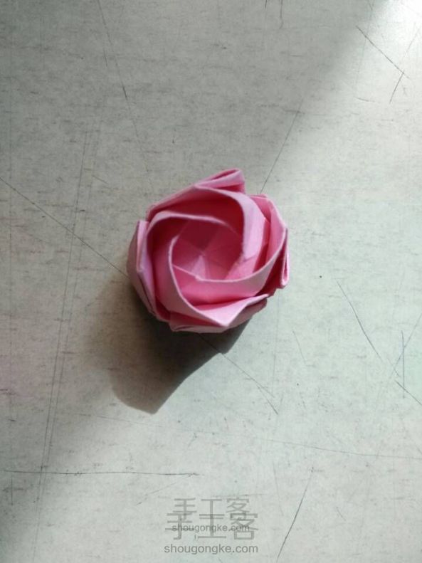川崎玫瑰