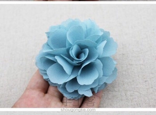 漂亮的淡蓝色花，漂亮的话进来吧。（转自网络）