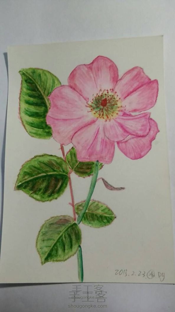 玫瑰花画法(初学)教程