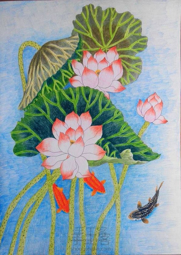 连年有余——彩铅画教程