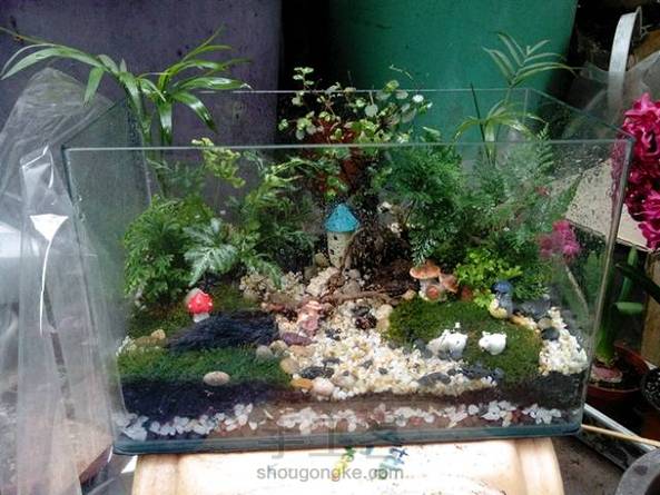 萌系·喜羊羊微景观详解(可出售成品,可订制)