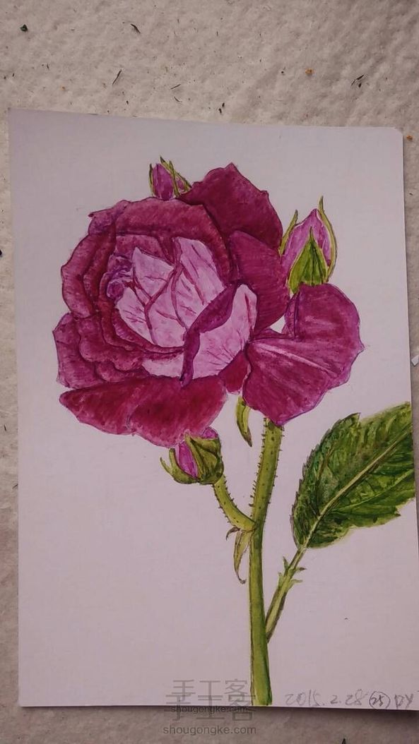 玫瑰花(葡萄冰山)学习绘画