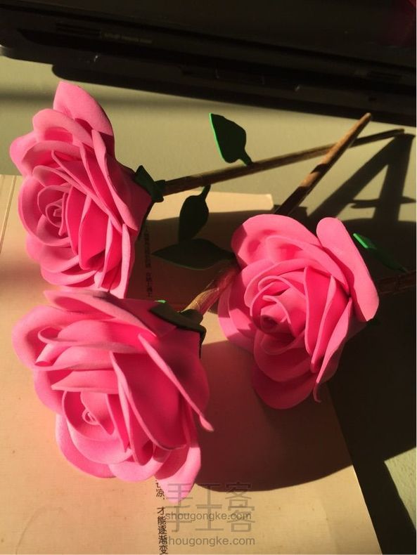 美美哒玫瑰花🌹~