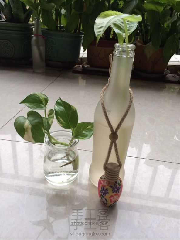 清新小植物(二)