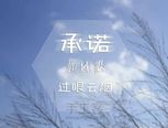 苹果红枣鲫鱼汤