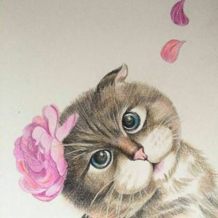 彩铅手绘可爱猫咪～亲们学起来～