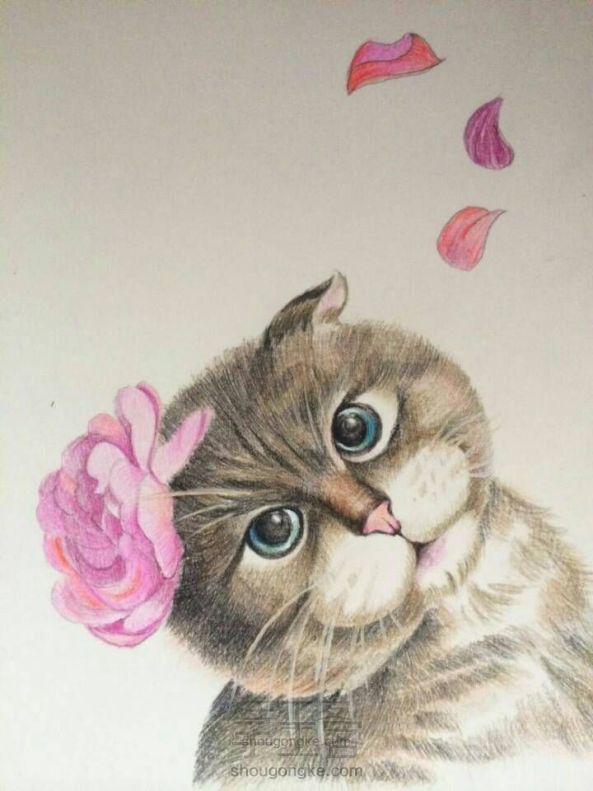 彩铅手绘可爱猫咪～亲们学起来～