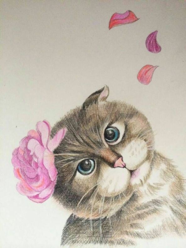 彩铅手绘可爱猫咪~亲们学起来~