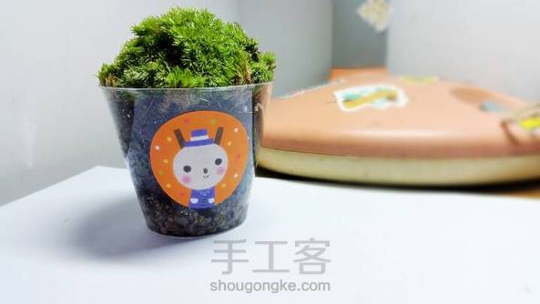旧物改造的苔藓小盆栽,萌萌哒的进化空气小能手哦~