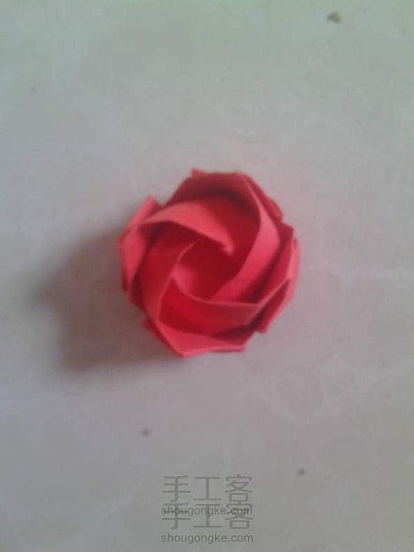 红玫瑰，川崎玫瑰，