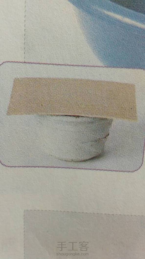 盆栽花卉的繁殖技术