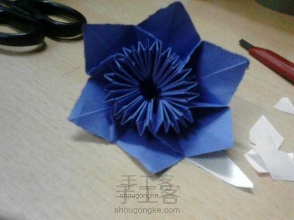 雏菊