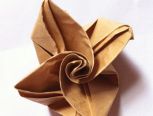 「折纸」最简单的玫瑰『1』