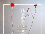 植物不一定要种在花盆里，悬浮之美 - 花信园艺系列