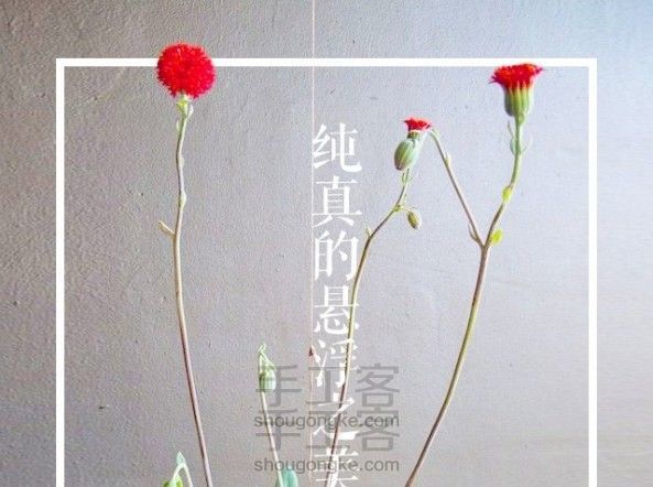 植物不一定要种在花盆里，悬浮之美 - 花信园艺系列