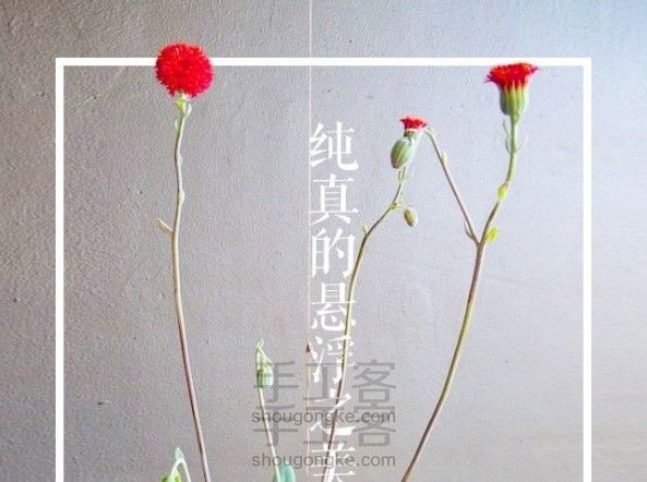植物不一定要种在花盆里,悬浮之美 - 花信园艺系列