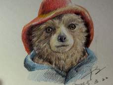 毛毛的帕丁顿熊，拎着自己的小皮箱，等待你的认领～～带回家就可以多一个家人啦～～会做果酱的哦～～