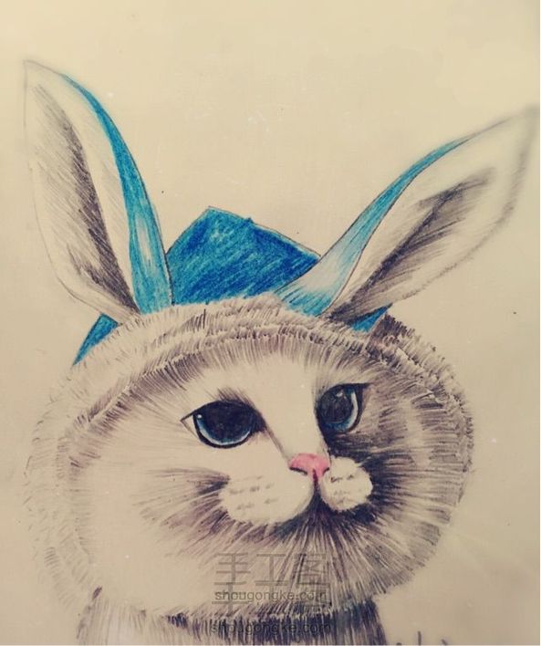 彩铅猫咪