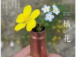 子弹壳与野花