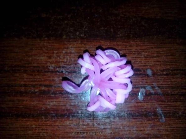 彩虹橡皮筋～樱花