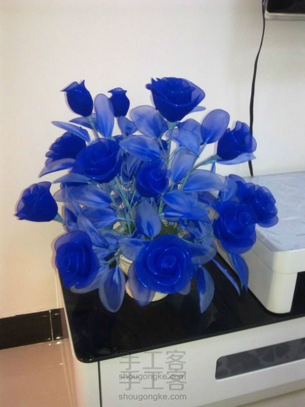玫瑰花还是蓝色妖姬？
