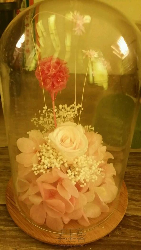 纯新手,永生花