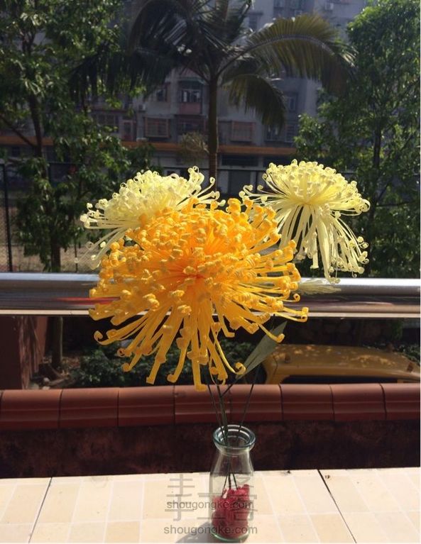 美丽的大菊花~简单易学