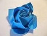 蓝玫瑰
