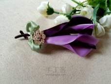 紫色马蹄莲的花语：幸福纯洁永恒！