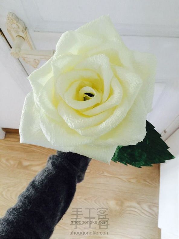 超逼真的纸藤玫瑰花 都什么年代了还在做川崎玫瑰?