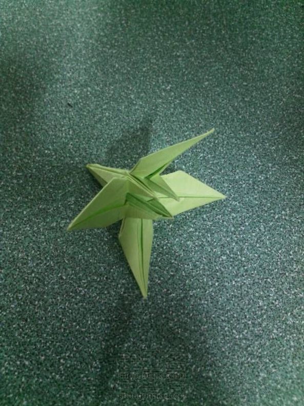 花萼折法(小改)