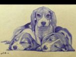 三只狗狗圆珠笔-小明手绘