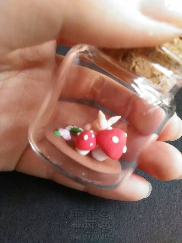 瓶子里的微景,蘑菇小兔兔