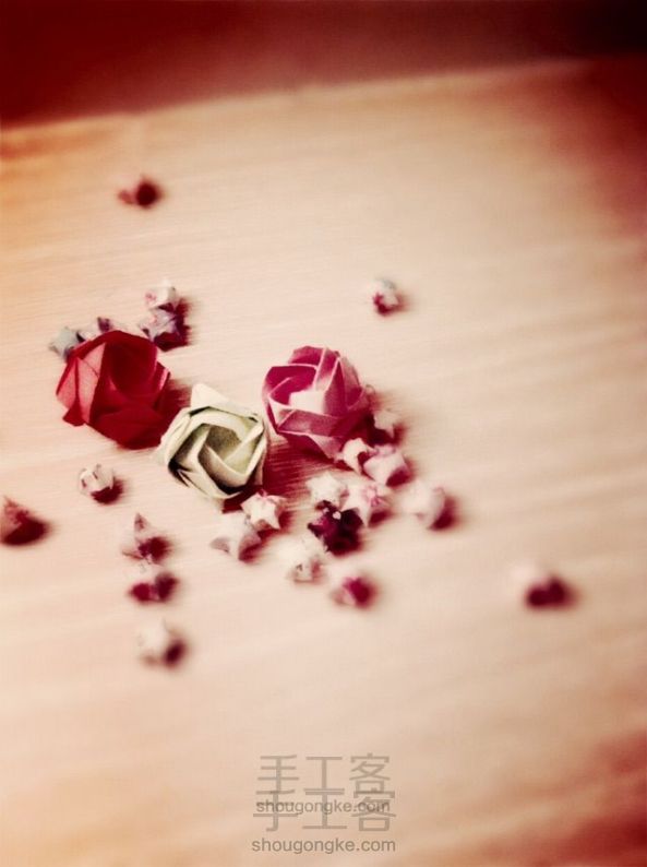美美哒川崎玫瑰~真的超级详细昂！