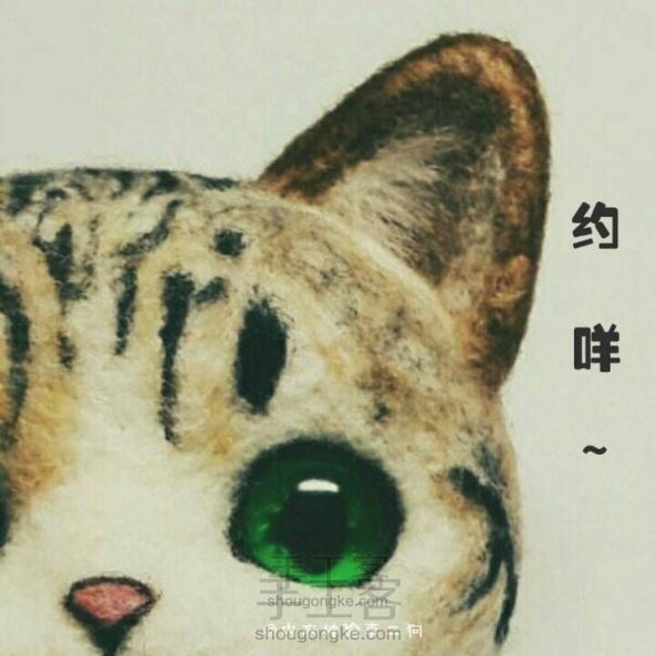 猫猫胸针教程 ฅ( ̳• ◡ • ̳)ฅ