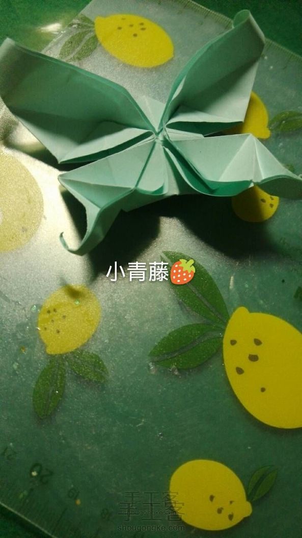【小青藤🍓】美腻的凤尾蝶~