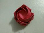 川崎玫瑰