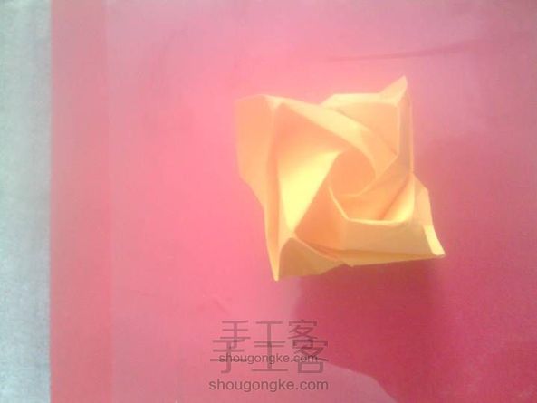 又是一朵玫瑰