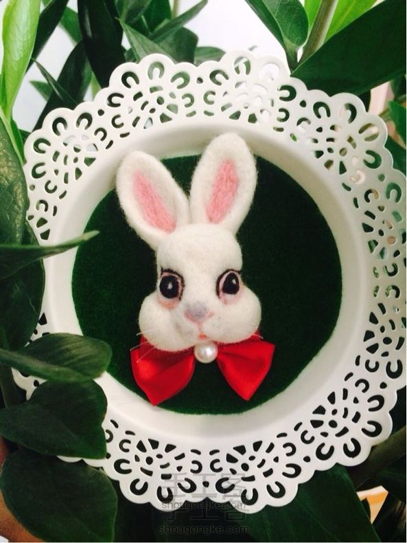 亲爱的爱丽丝,她在花园中沉思。🐰