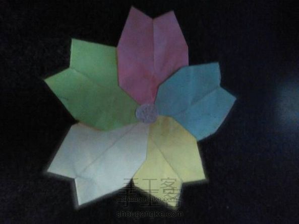 五叶花,八叶花