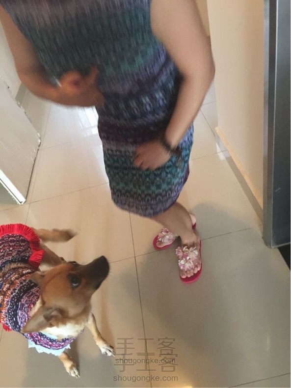 和小狗的母子装