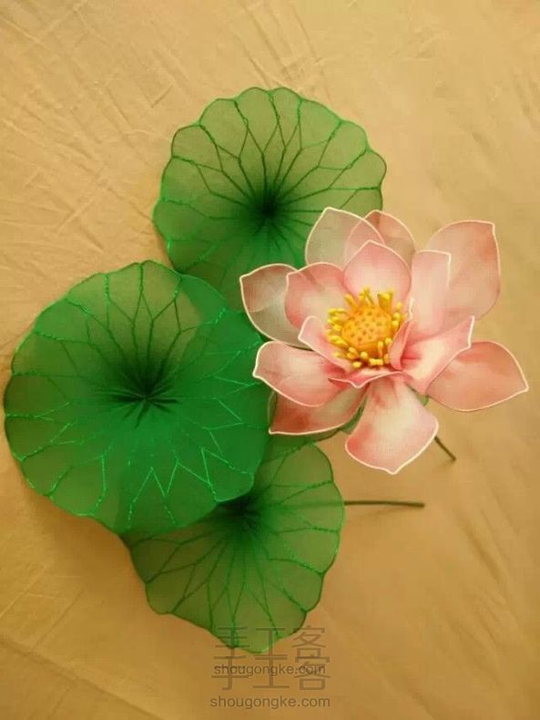 丝网莲花教程