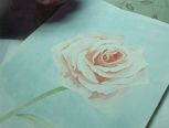 水彩手绘玫瑰