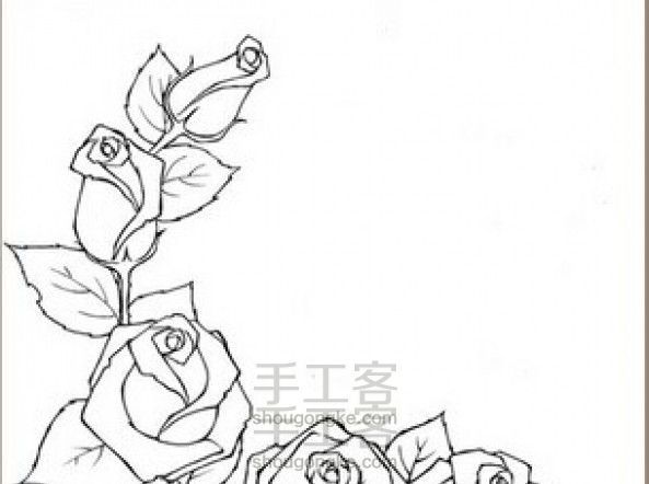 玫瑰花画法
