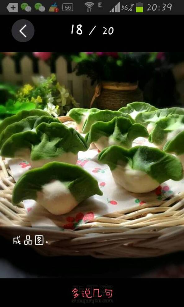 翡翠白菜水饺